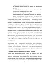 Diplomdarbs 'Efektīva neatkarīgā audita modelis', 23.