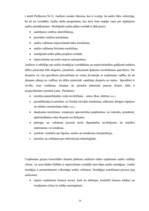 Diplomdarbs 'Efektīva neatkarīgā audita modelis', 24.