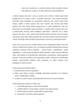 Diplomdarbs 'Efektīva neatkarīgā audita modelis', 30.