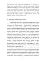 Diplomdarbs 'Efektīva neatkarīgā audita modelis', 31.