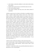 Diplomdarbs 'Efektīva neatkarīgā audita modelis', 41.