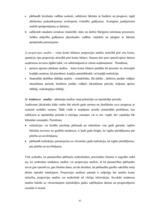 Diplomdarbs 'Efektīva neatkarīgā audita modelis', 43.