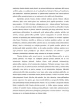 Diplomdarbs 'Efektīva neatkarīgā audita modelis', 45.