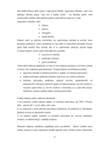 Diplomdarbs 'Efektīva neatkarīgā audita modelis', 59.