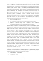 Diplomdarbs 'Efektīva neatkarīgā audita modelis', 61.