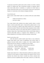 Diplomdarbs 'Efektīva neatkarīgā audita modelis', 64.