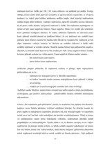 Diplomdarbs 'Efektīva neatkarīgā audita modelis', 65.