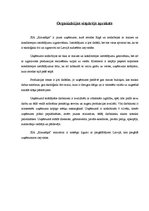 Referāts 'Vadības teorija', 3.