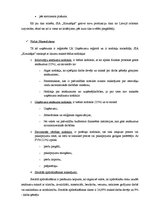 Referāts 'Vadības teorija', 11.