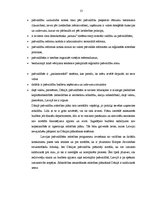 Referāts 'Dānija pašvaldību sistēmas atjaunošanas posmā', 13.