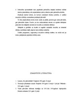 Referāts 'Dānija pašvaldību sistēmas atjaunošanas posmā', 16.