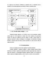 Diplomdarbs 'Personālvadības procesu pilnveide uzņēmumā', 19.