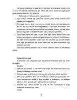 Diplomdarbs 'Personālvadības procesu pilnveide uzņēmumā', 69.