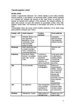 Referāts 'Lindāns', 4.