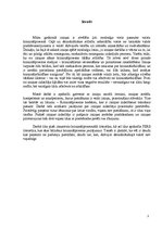 Referāts 'Izziņas iestāde un izziņas izdarītājs', 3.