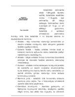 Referāts 'Piza', 3.