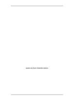 Referāts 'Piza', 13.