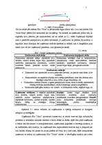 Referāts 'Mārketinga plāns SIA "Vicars"', 5.