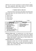 Referāts 'Mārketinga plāns SIA "Vicars"', 6.