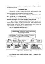 Referāts 'Mārketinga plāns SIA "Vicars"', 8.