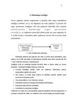 Referāts 'Mārketinga plāns SIA "Vicars"', 9.