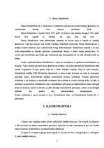 Referāts 'Fraktāļi', 5.