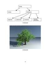 Referāts 'Fraktāļi', 19.