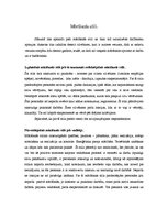 Referāts 'Mācīšanās stili un motivācija', 3.