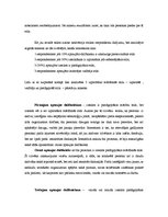 Referāts 'Mācīšanās stili un motivācija', 5.