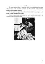 Referāts 'Inflācija', 2.