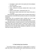 Referāts 'Papīra nelietderīga izmantošana un otrreizēja pārstrāde', 12.