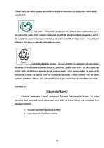 Referāts 'Papīra nelietderīga izmantošana un otrreizēja pārstrāde', 30.