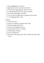 Referāts 'Valodas stila kļūdas plašsaziņas līdzekļos', 11.