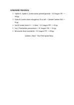 Referāts 'Valodas stila kļūdas plašsaziņas līdzekļos', 12.