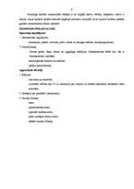 Referāts 'Zemessardzes štābs', 9.