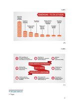 Eseja 'Pēdējo trīs gadu Liepājas pašvaldības budžeta pārskats un salīdzinājums', 11.