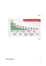 Eseja 'Pēdējo trīs gadu Liepājas pašvaldības budžeta pārskats un salīdzinājums', 12.