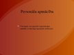 Prezentācija 'Personāla apmācība', 4.