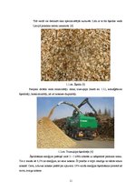 Diplomdarbs 'Šķeldas izmantošanas iespējas un perspektīvas enerģijas ieguvei', 11.