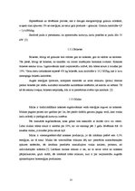 Diplomdarbs 'Šķeldas izmantošanas iespējas un perspektīvas enerģijas ieguvei', 13.