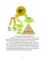 Diplomdarbs 'Šķeldas izmantošanas iespējas un perspektīvas enerģijas ieguvei', 21.