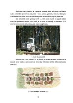 Diplomdarbs 'Šķeldas izmantošanas iespējas un perspektīvas enerģijas ieguvei', 39.