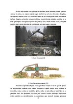 Diplomdarbs 'Šķeldas izmantošanas iespējas un perspektīvas enerģijas ieguvei', 40.