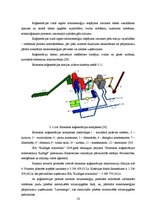 Diplomdarbs 'Šķeldas izmantošanas iespējas un perspektīvas enerģijas ieguvei', 54.