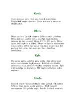 Referāts 'Mežs', 13.