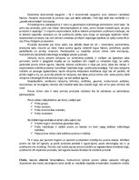 Referāts 'Jaunās ekonomikas laikmets', 3.