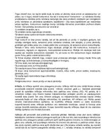 Referāts 'Jaunās ekonomikas laikmets', 5.