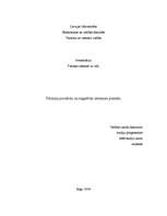 Referāts 'Negatīvās un pozitīvās tūrisma ietekmes piemēri pasaulē', 1.