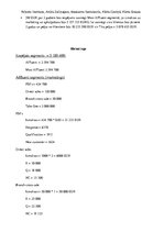 Referāts 'Situācijas "Alpen Bank: Launching the Credit Card in Romania" analīze', 4.