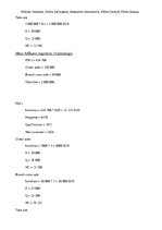 Referāts 'Situācijas "Alpen Bank: Launching the Credit Card in Romania" analīze', 5.